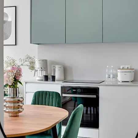 Old Town Scala H With Parking By Lion 公寓 格但斯克