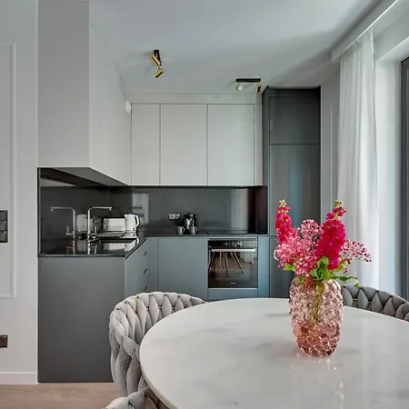 Old Town Scala H With Parking By Lion 公寓 格但斯克